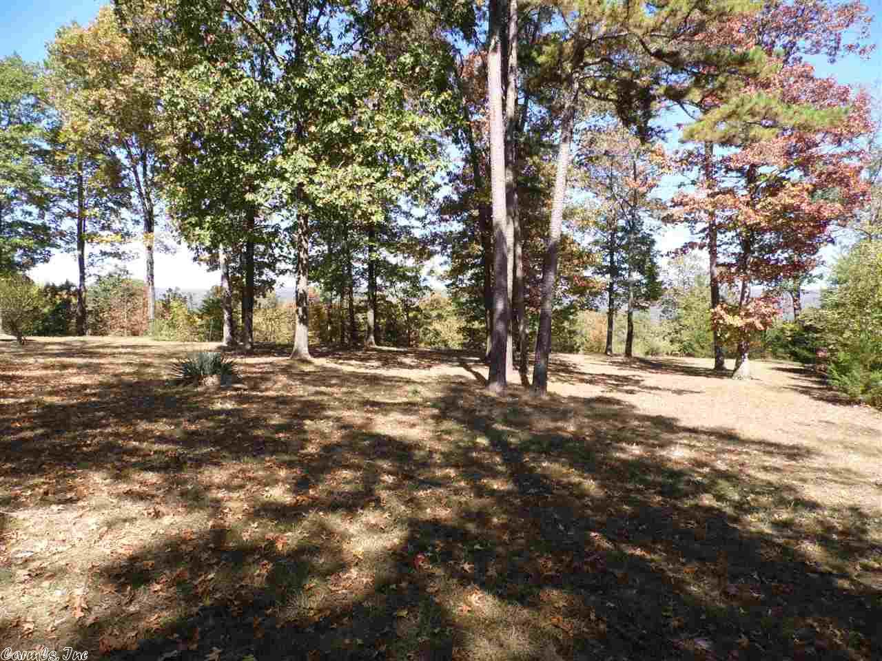 893 Polk Rd 95, Mena, AR 71953 photo 2