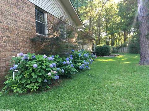 171 Marcone Dr, De Queen, AR 71832 photo 24