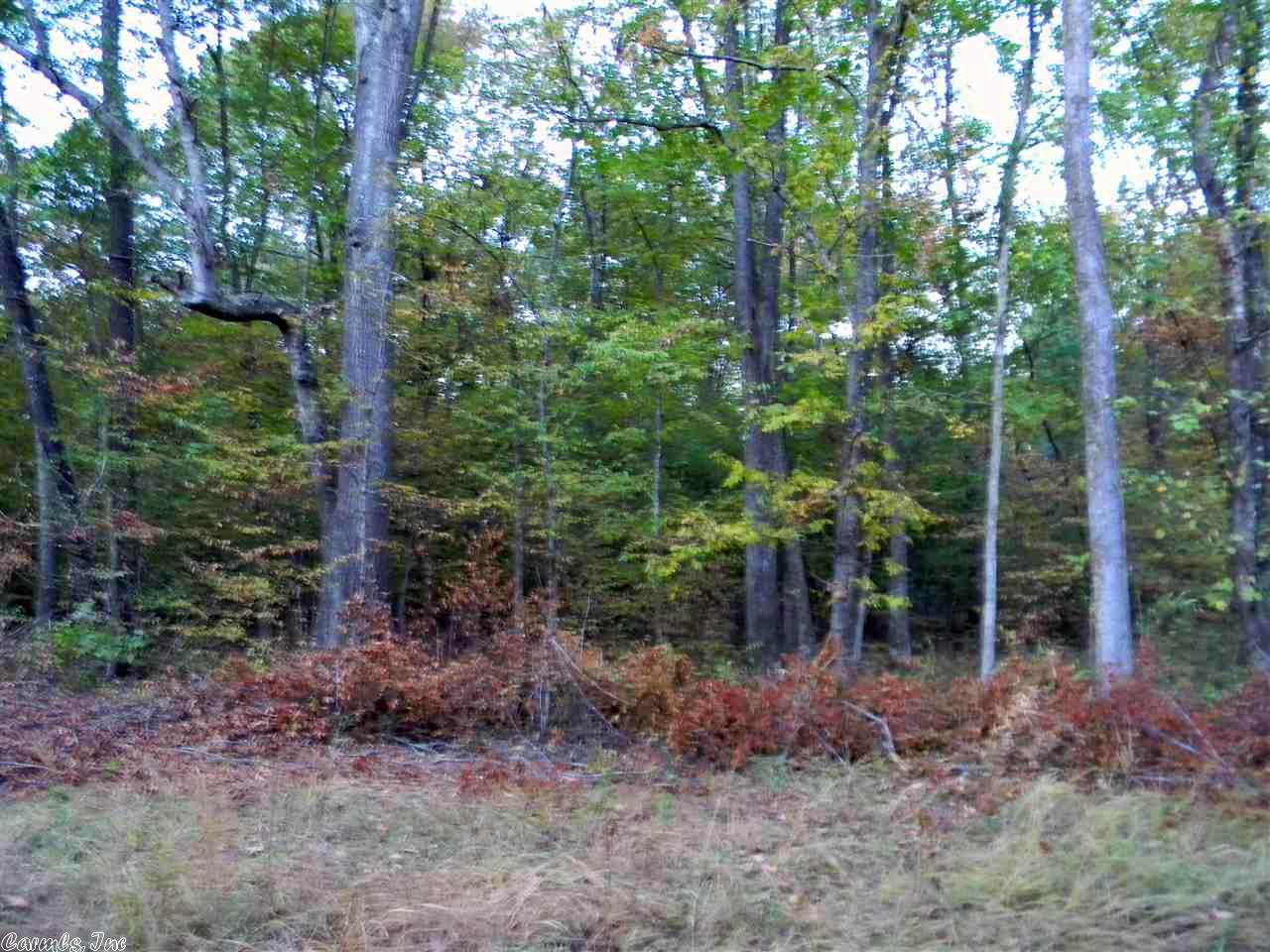 588 S Taft, Haskell, AR 72015 photo 21