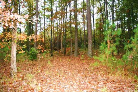 6 Whispering Drive, Little Rock, AR 72002 photo 2