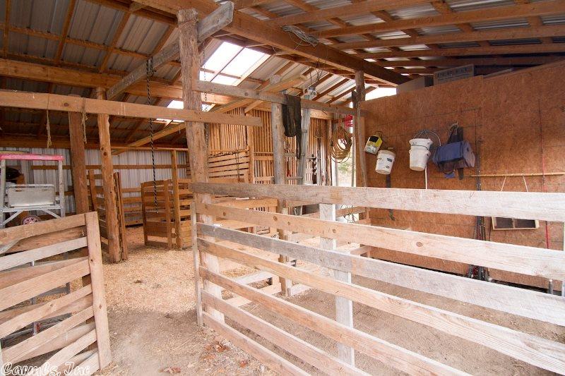 16 Fairground Rd, Ash Flat, AR 72513 photo 6