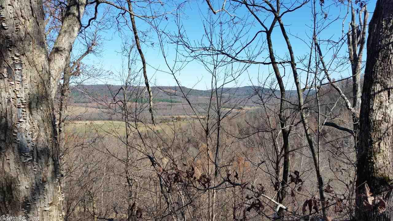 2645 Crossing Road Rd, Marshall, AR 72650 photo 8