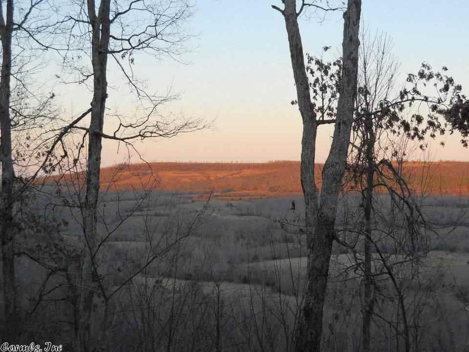 2645 Crossing Road Rd, Marshall, AR 72650 photo 10