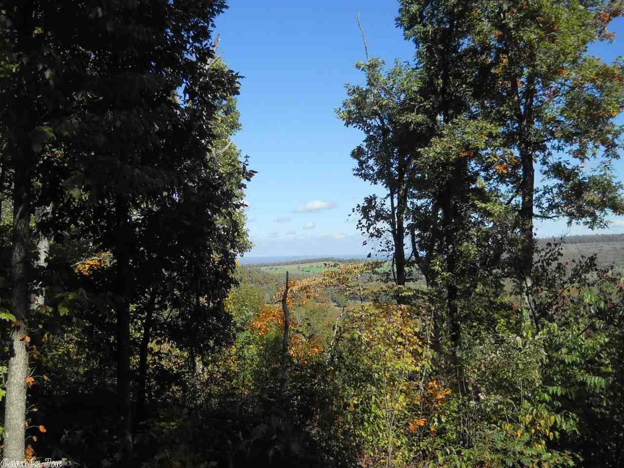 2645 Crossing Road Rd, Marshall, AR 72650 photo 9