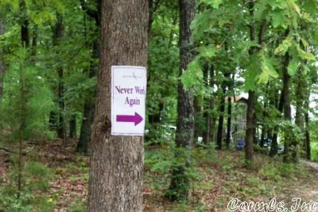 2645 Crossing Rd, Marshall, AR 72650 photo 11