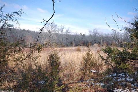 1818 Jillo, Cabot, AR 72023 photo 3