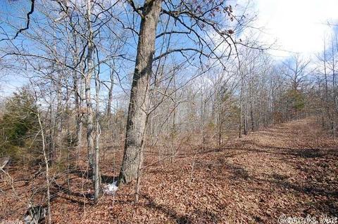 1818 Jillo, Cabot, AR 72023 photo 2