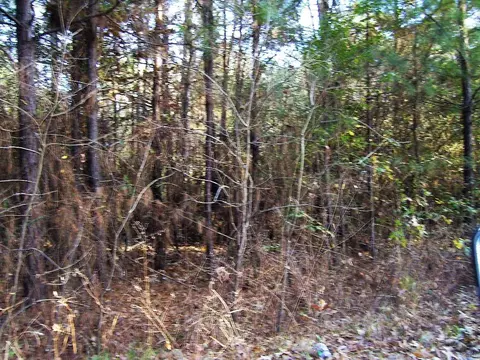 637 SW Front St, Wilton, AR 71865 photo 5