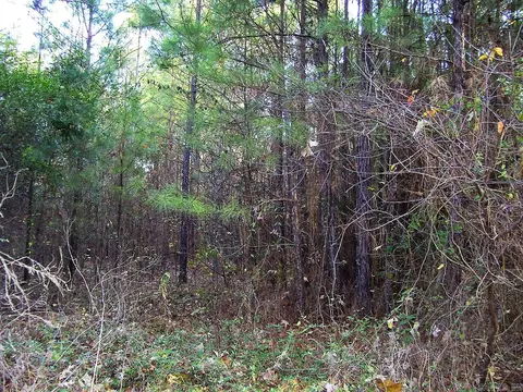 637 SW Front St, Wilton, AR 71865 photo 4