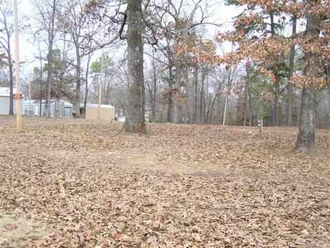 123 Catfish Cv, Ashdown, AR 71822 photo 18