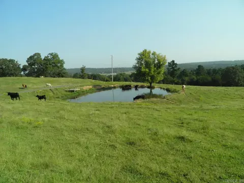 11018 E Hwy 22, Paris, AR 72855 photo 2