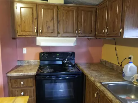 1137 Mt Spring Rd, Delaware, AR 72835 photo 27