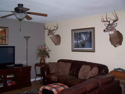 28 E Valley Dr, Hardy, AR 72542 photo 20