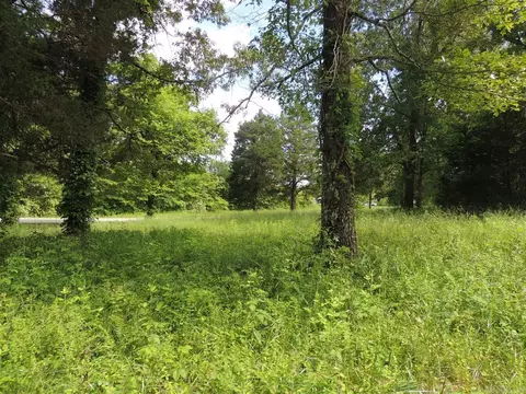 16545 Hwy 115, Maynard, AR 72444 photo 31