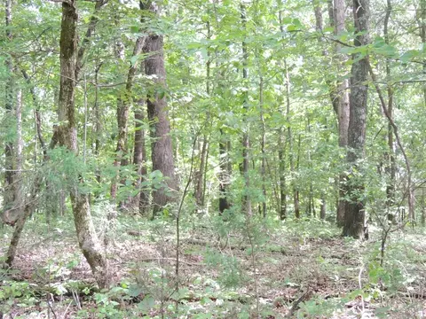 16545 Hwy 115, Maynard, AR 72444 photo 28