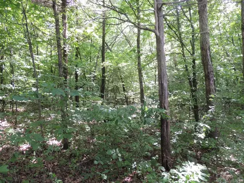 16545 Hwy 115, Maynard, AR 72444 photo 37