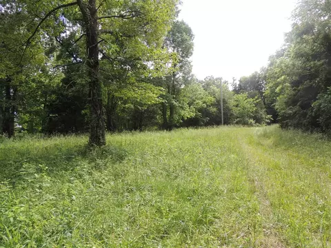 16545 Hwy 115, Maynard, AR 72444 photo 30
