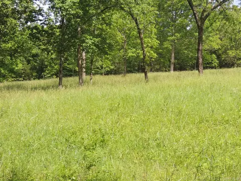 16545 Hwy 115, Maynard, AR 72444 photo 27