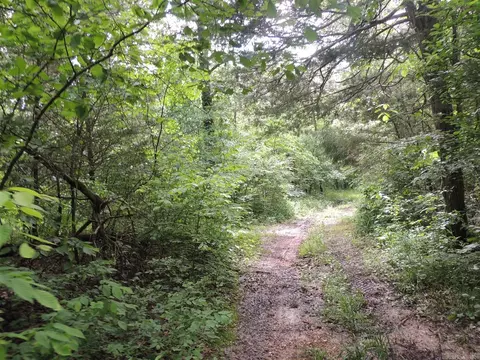 16545 Hwy 115, Maynard, AR 72444 photo 32