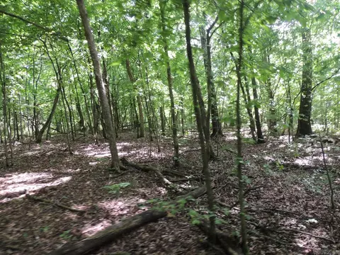 16545 Hwy 115, Maynard, AR 72444 photo 36