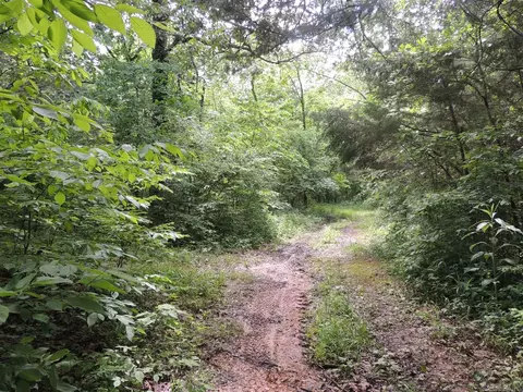16545 Hwy 115, Maynard, AR 72444 photo 33