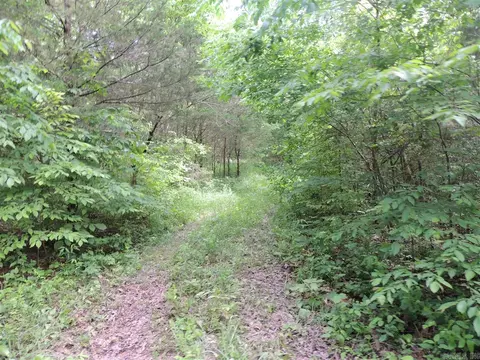 16545 Hwy 115, Maynard, AR 72444 photo 34