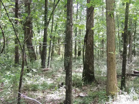 16545 Hwy 115, Maynard, AR 72444 photo 29