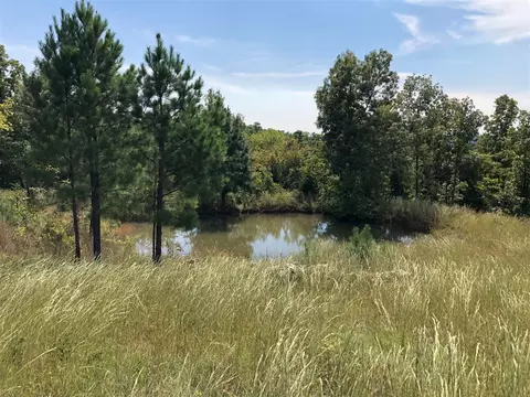 652 Many Islands Rd, Mammoth Spring, AR 72554 photo 8