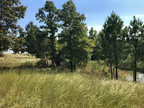 652 Many Islands Rd, Mammoth Spring, AR 72554 photo 10