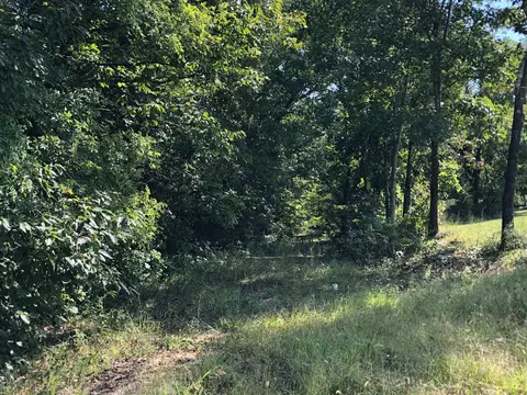 652 Many Islands Rd, Mammoth Spring, AR 72554 photo 27