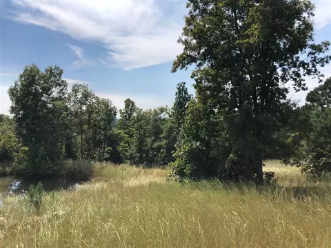 652 Many Islands Rd, Mammoth Spring, AR 72554 photo 13