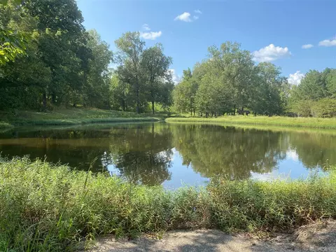 467 Bradley 42 E, Hermitage, AR 71647 photo 30