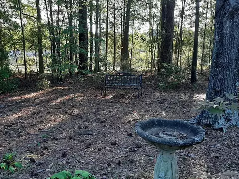 1184 County Road 283, Five Points, AL 36855 photo 10