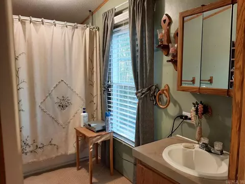 1184 County Road 283, Five Points, AL 36855 photo 7