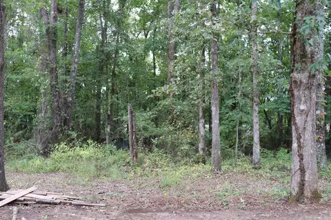 1184 County Road 283, Five Points, AL 36855 photo 25
