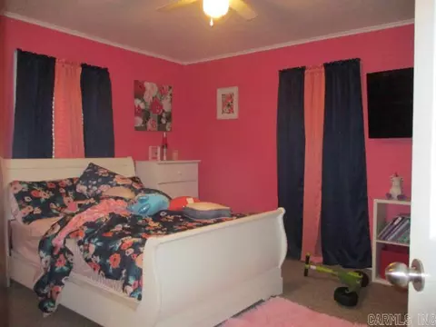 304 N Gideon Ave, Gideon, MO 63848 photo 8