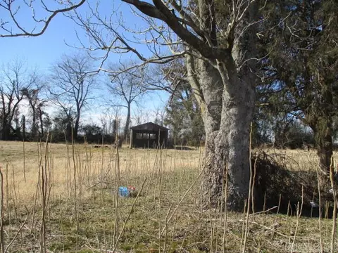 24735 State Hwy 153, Holcomb, MO 63852 photo 4