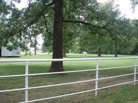 225 W Dollarhide, Foreman, AR 71836 photo 32