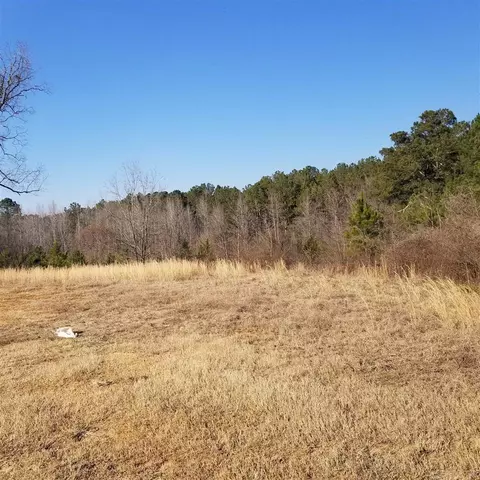 2020 County 283, Five Points, AL 36855 photo 2