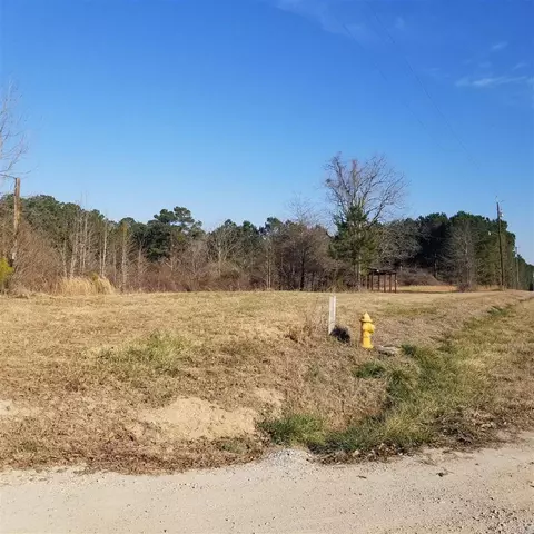 2020 County 283, Five Points, AL 36855 photo 3