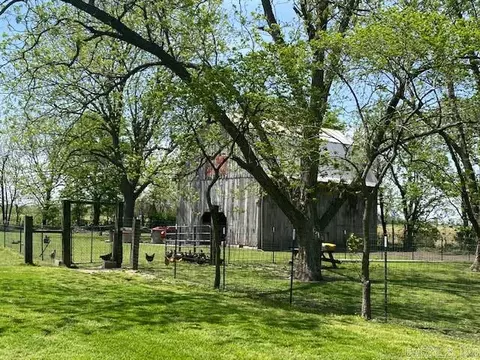 397 Highway O, Steele, MO 63877 photo 14