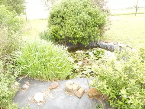 506 State Hwy M, Steele, MO 63877 photo 8