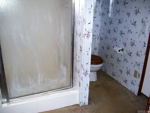 107 Bass Haven Cir, Ashdown, AR 71822 photo 16