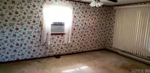 207 Front St, Naylor, MO 63953 photo 5