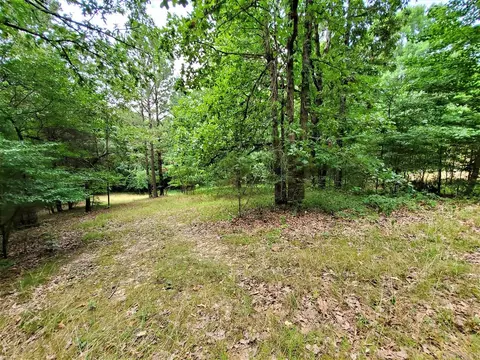 1018 Cr 475, Rector, AR 72461 photo 32