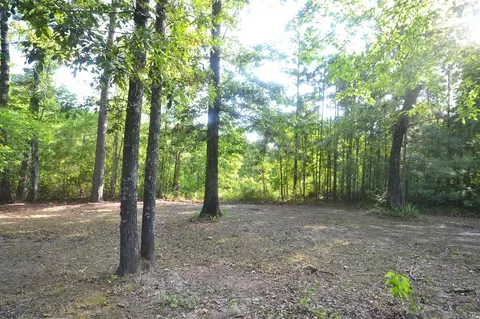 22671 Hwy 98, Emerson, AR 71740 photo 3