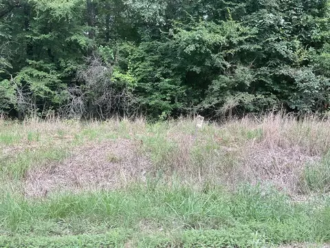 115 New Cut Rd, Casscoe, AR 72026 photo 8
