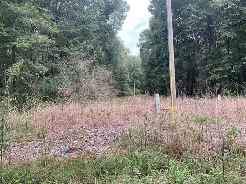 115 New Cut Rd, Casscoe, AR 72026 photo 9