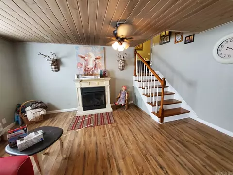 308 W Crest Dr, Rector, AR 72461 photo 21