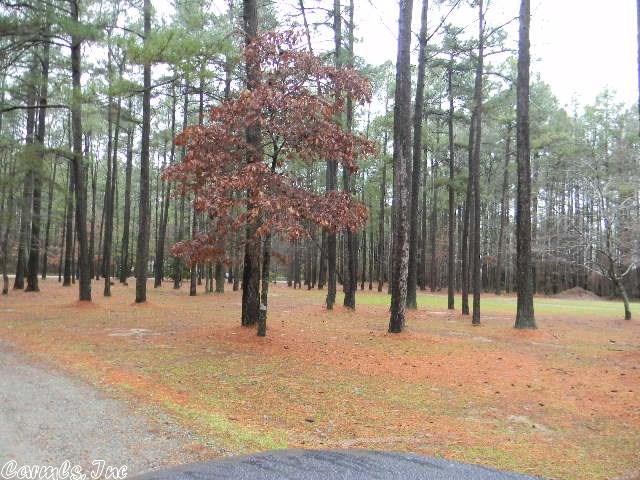 7417 Hyla, Pine Bluff, AR 71603 photo 37